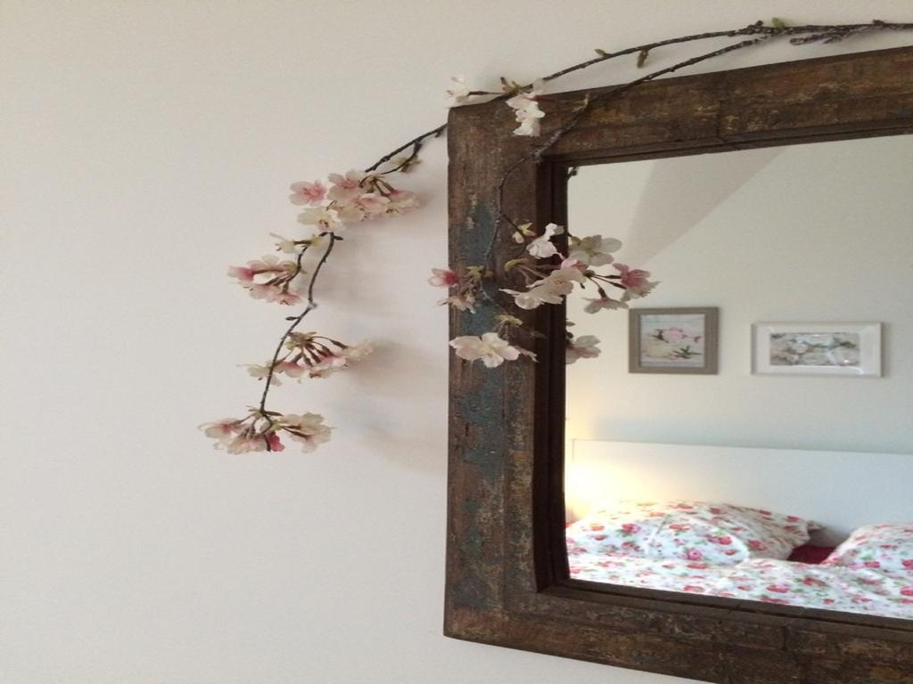 דרזדן Villa Eschebach - Ferienwohnung מראה חיצוני תמונה